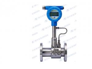 旋進(jìn)旋渦流量計